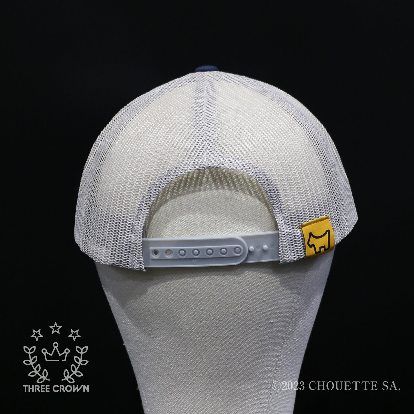 California Gallery Limited Laguna font Logo Cap