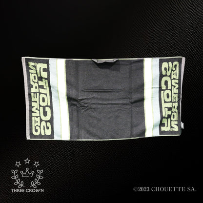 2021 Limited Surf Stripe Green Towel