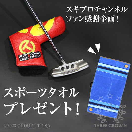 Tour Mallet 2 in SSS with a welded center neck & 15g circle T sole weights【スギプロ企画】