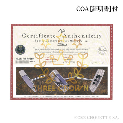 Tour Mallet 2 in SSS with a welded center neck & 15g circle T sole weights【スギプロ企画】